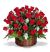 Rosas en Ramo x 50 - Rojo Amor